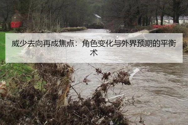 威少去向再成焦点：角色变化与外界预期的平衡术